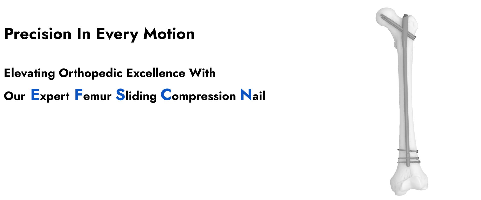Web Banner Expert Femur Sliding Compression Nail