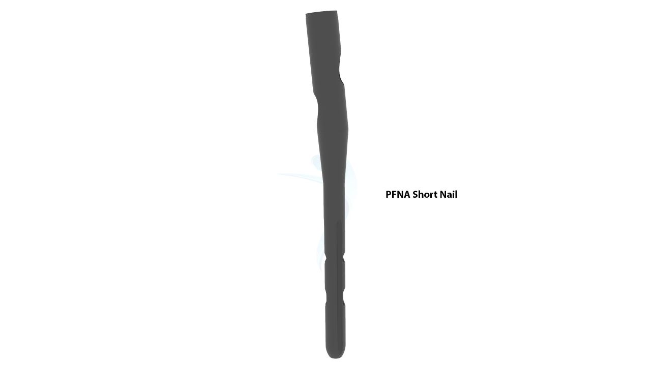 Pfan Short nail