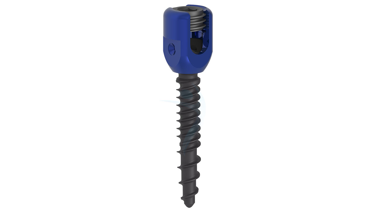5.5 Polyaxial Screw Blue