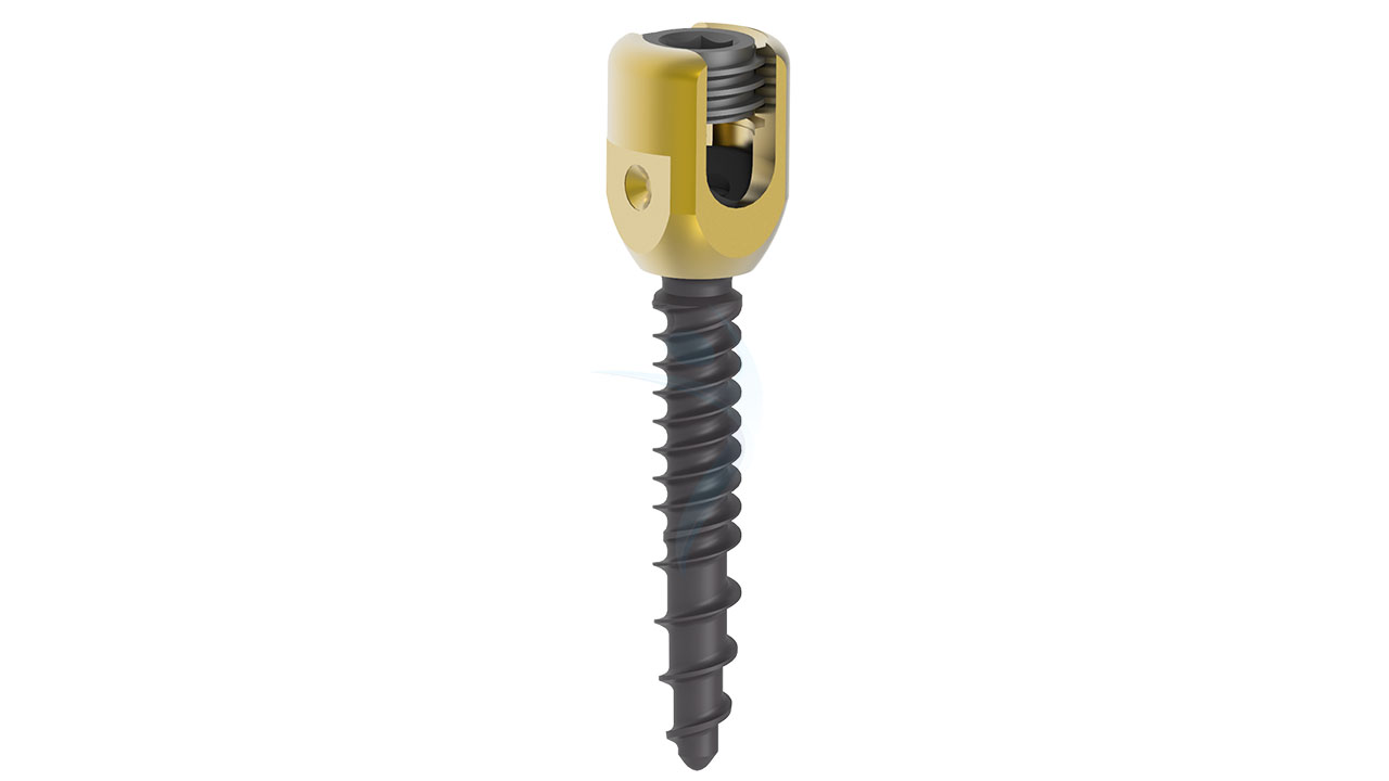 6.2 Poly Axial Pedicle Screw