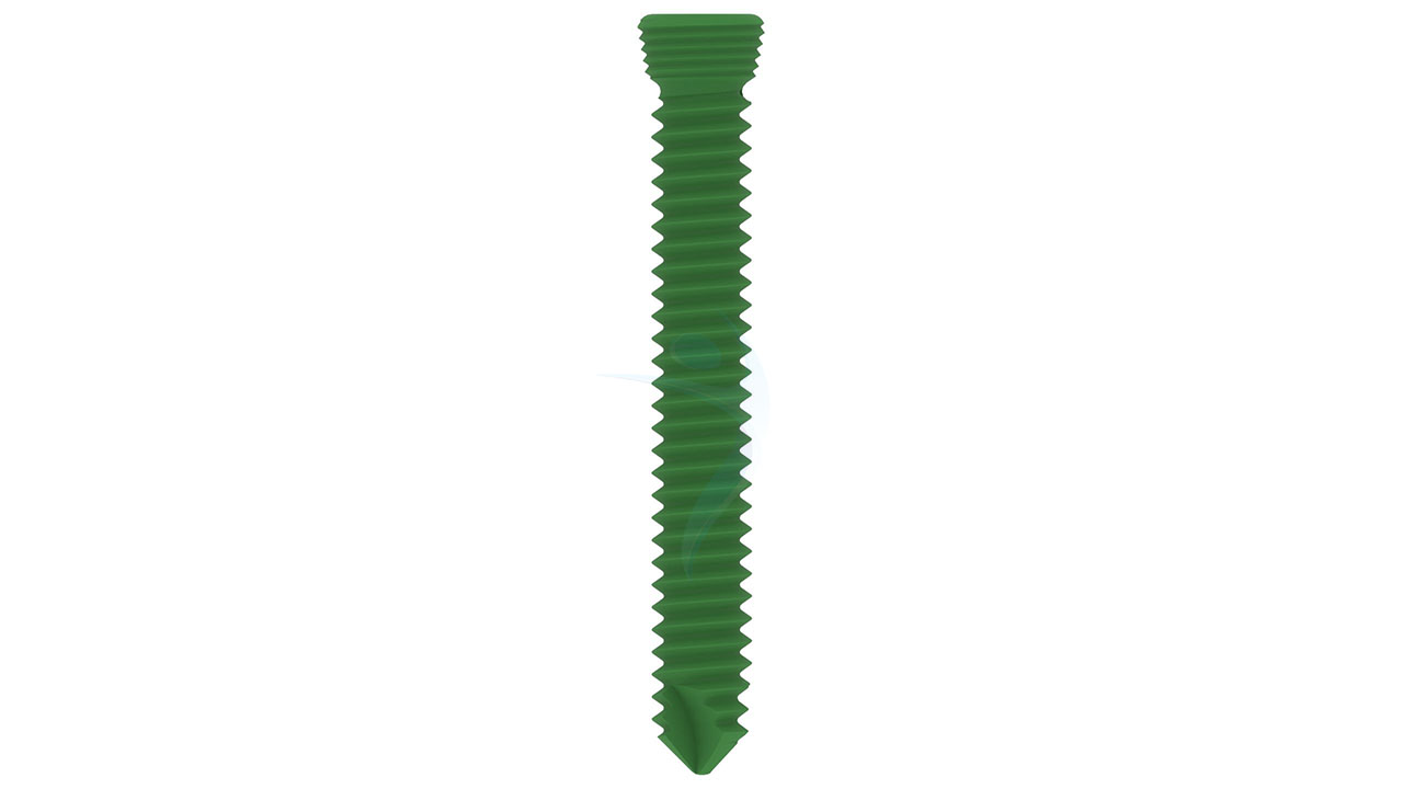 2.7 Locking Screw