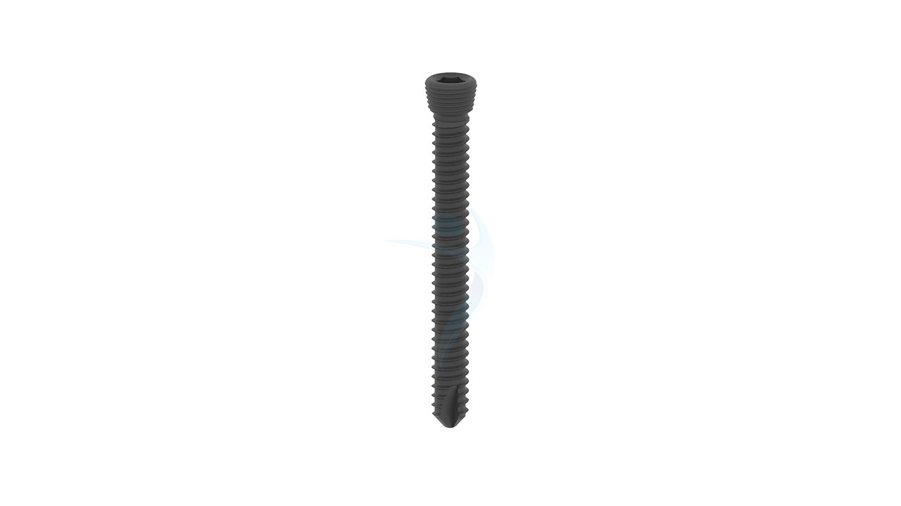 3.5 Locking Screw