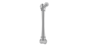Expert Femur Nail II