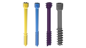 Herbert Screw