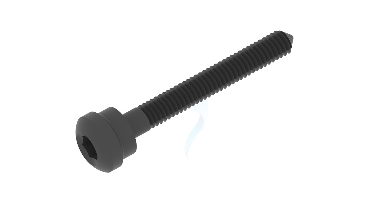 Compression Screw Window Dynamic Hip Screw Plate System