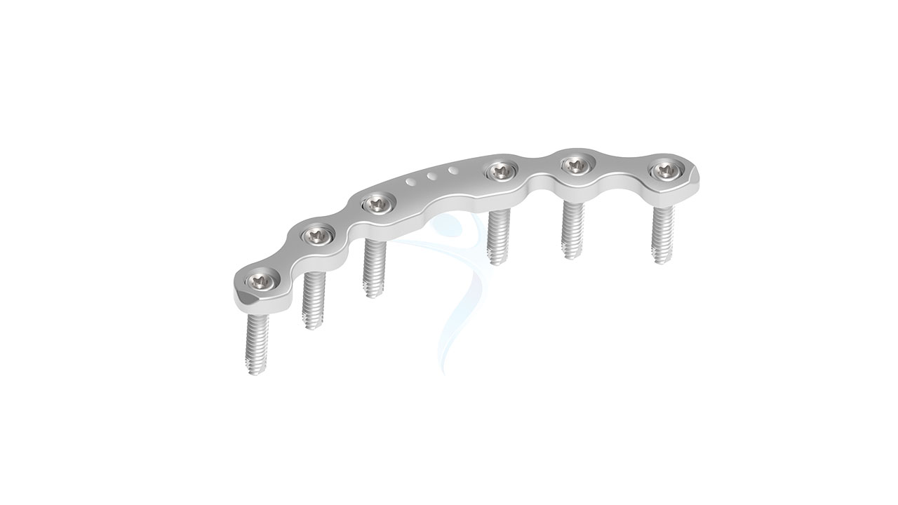 Pelvic Symphyseal Plate 6 Holes